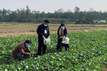 2023年愛心助農(nóng)商家物流時(shí)效激勵(lì)規(guī)則是什么